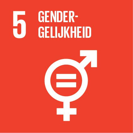 Logo SDG 5