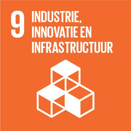 Logo SDG 9