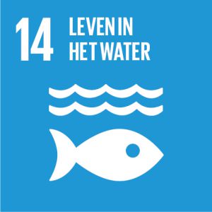 SDG 14: Leven in het water