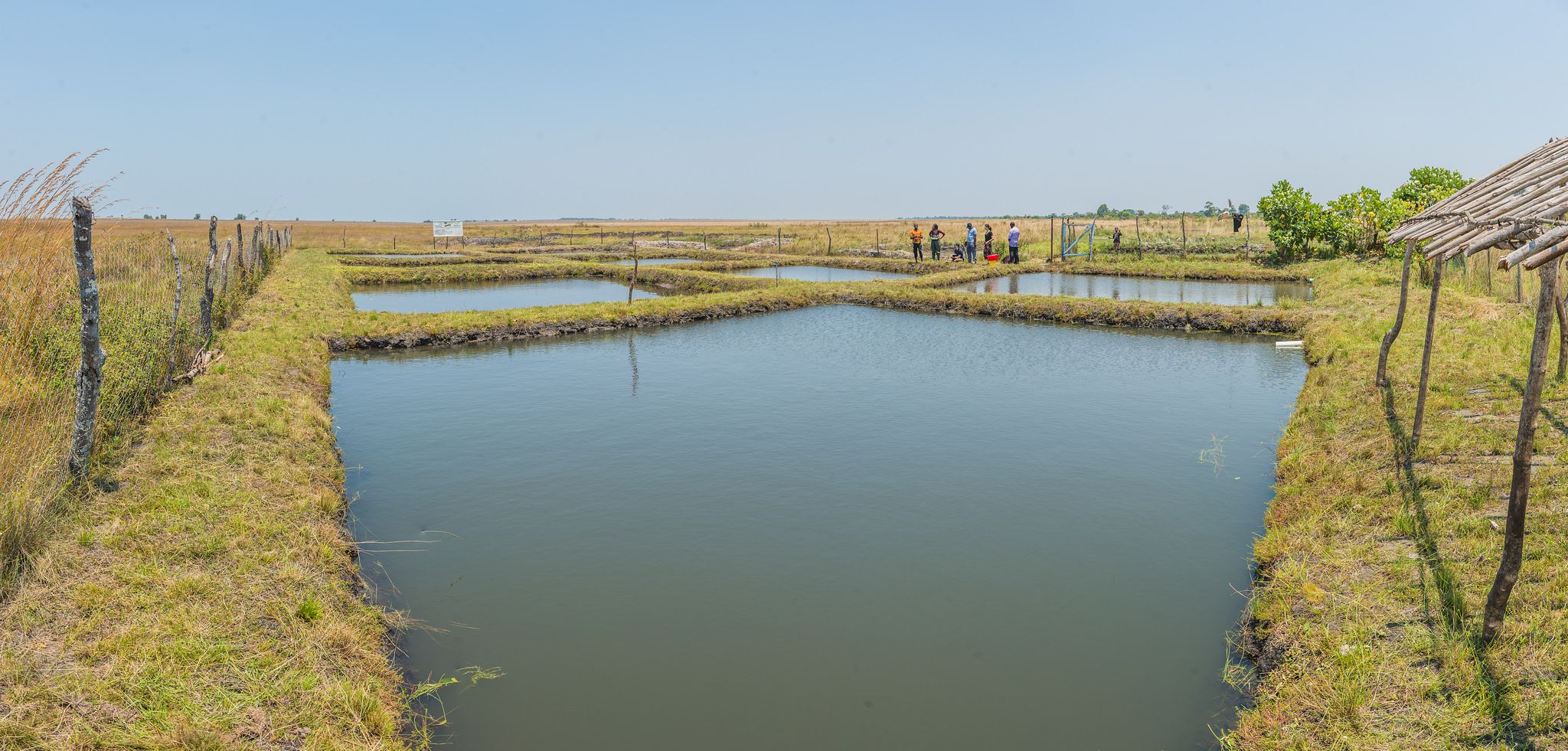 Viskwekerij in Zambia