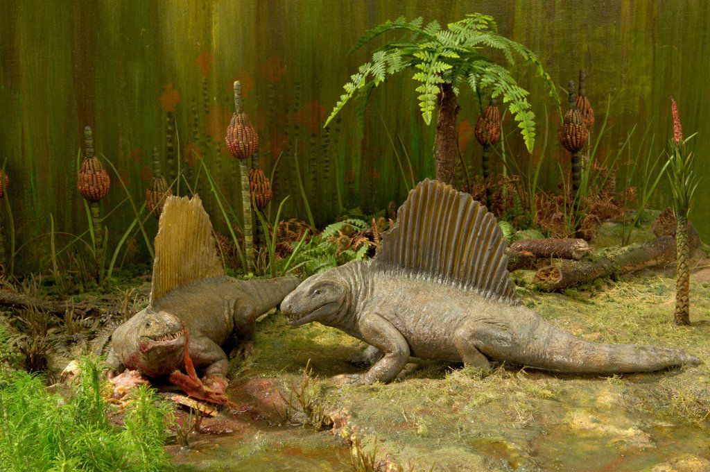 Diorama Dimetrodon grandis