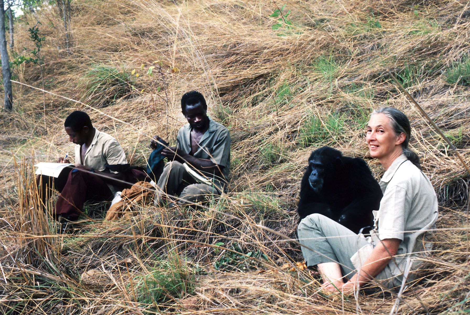 Jane Goodall