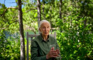 Jane Goodall